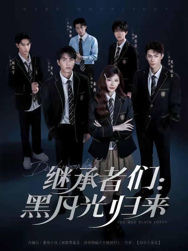 继承者们：黑月光归来第一季封面图