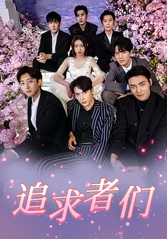 追求者们封面图