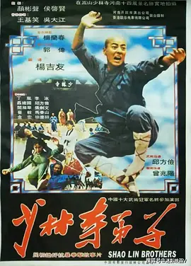 少林寺弟子[电影解说]封面图
