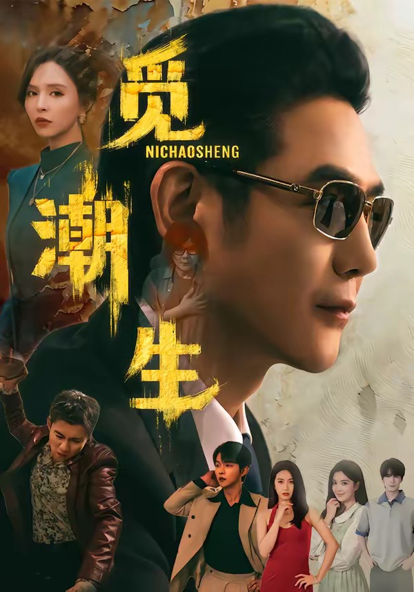 觅潮生封面图