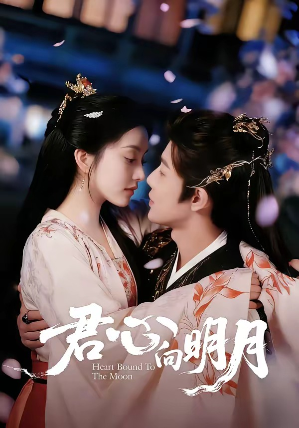 君心向明月封面图