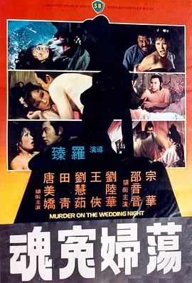 荡妇冤魂[电影解说]封面图