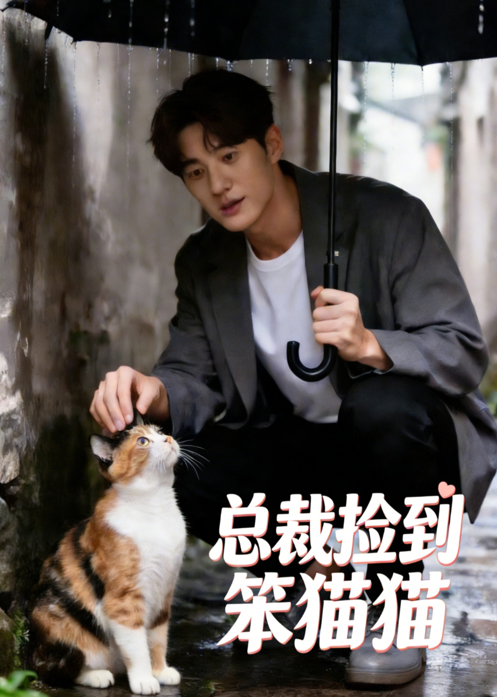 总裁捡到笨猫猫封面图