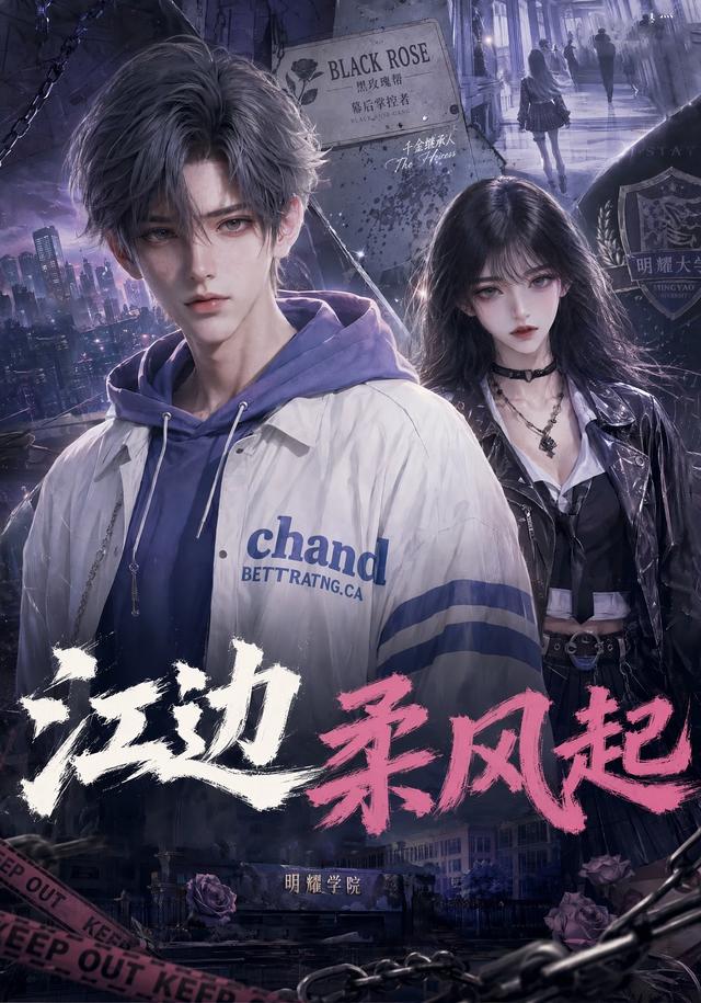 江边柔风起封面图