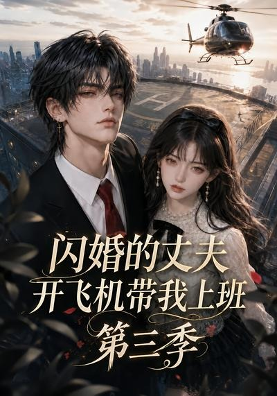 闪婚的丈夫开飞机带我上班第三季封面图