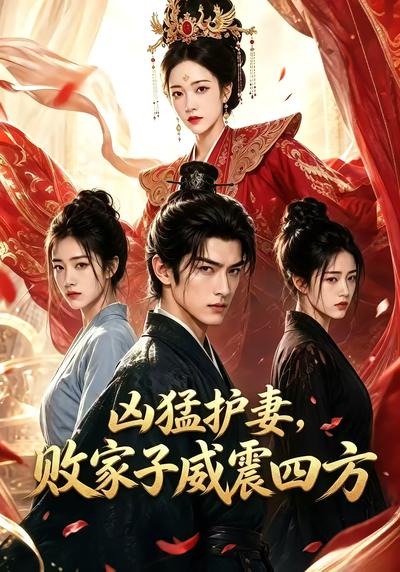 凶猛护妻，败家子威震四方封面图