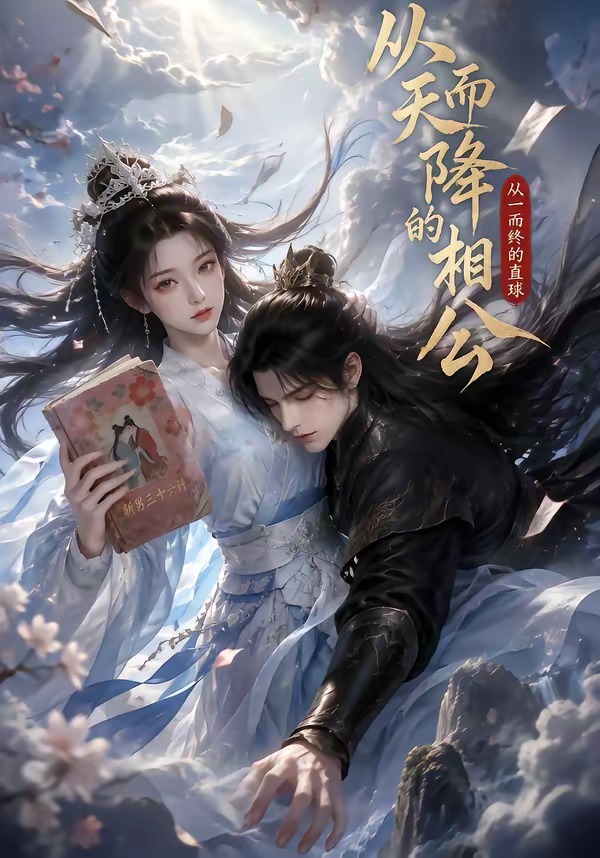 从天而降的相公，从一而终的直球封面图