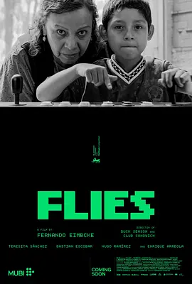 苍蝇2026封面图