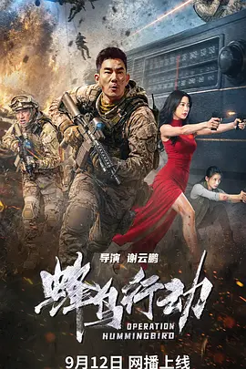 蜂鸟行动封面图