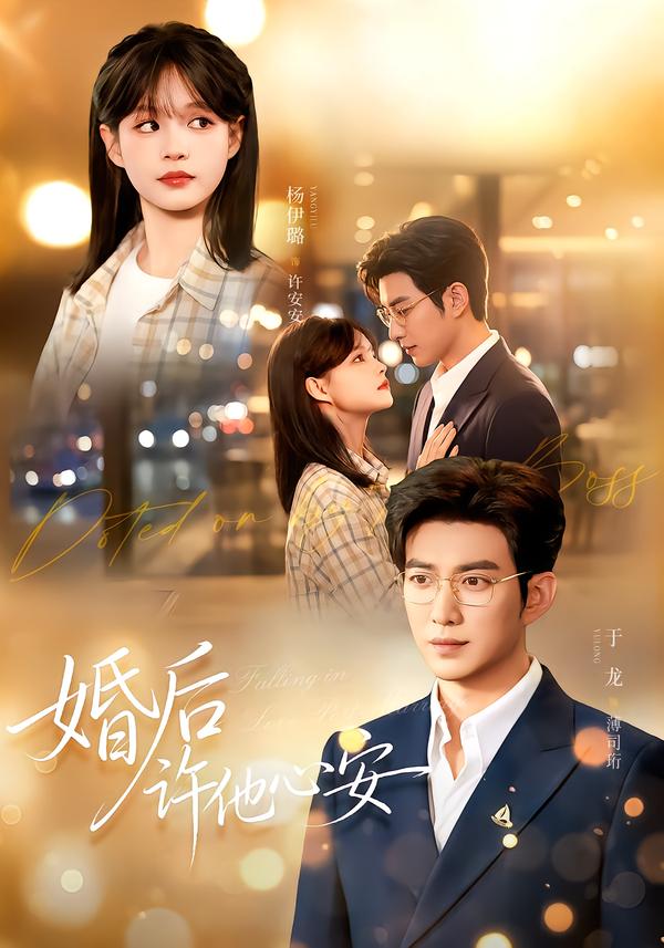 婚后许他心安封面图